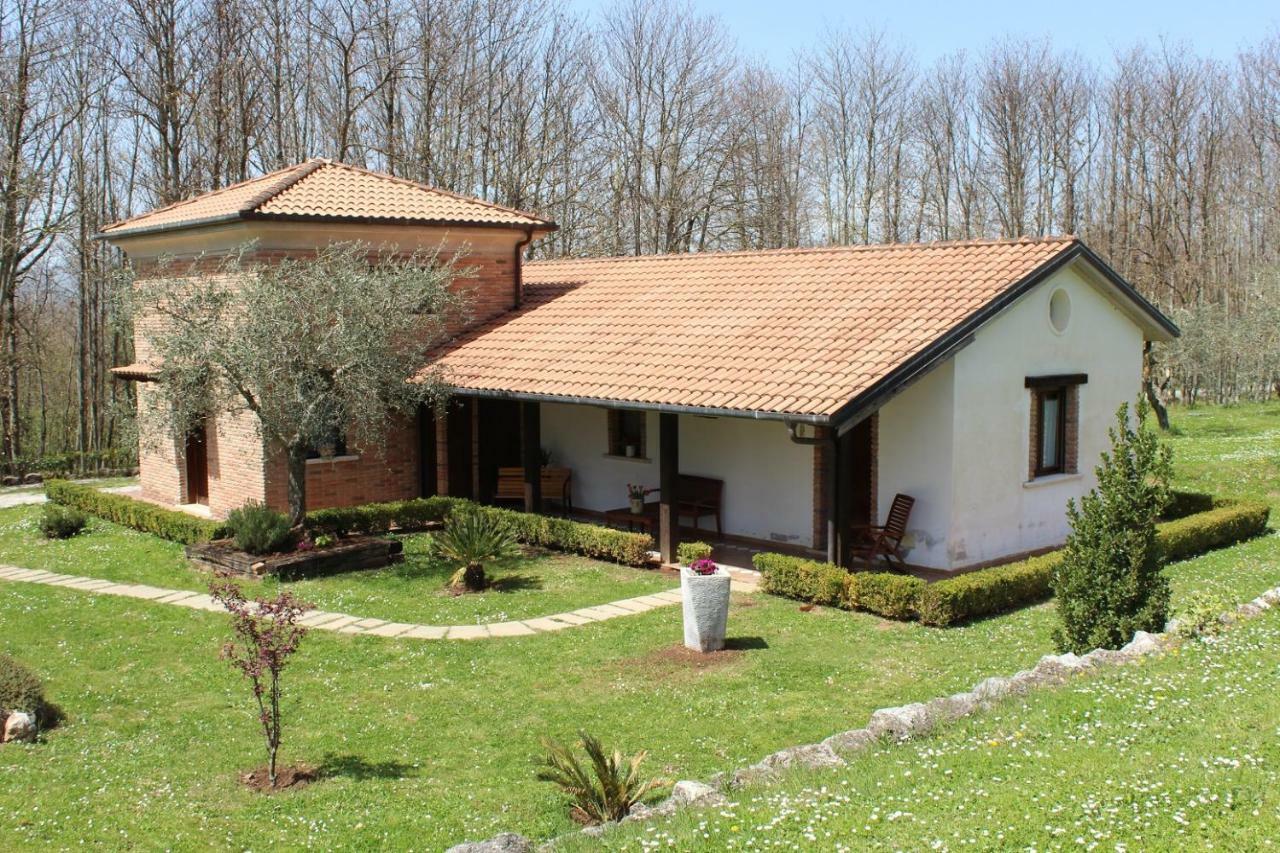 Agriturismo Il Castagneto Padula Exteriér fotografie