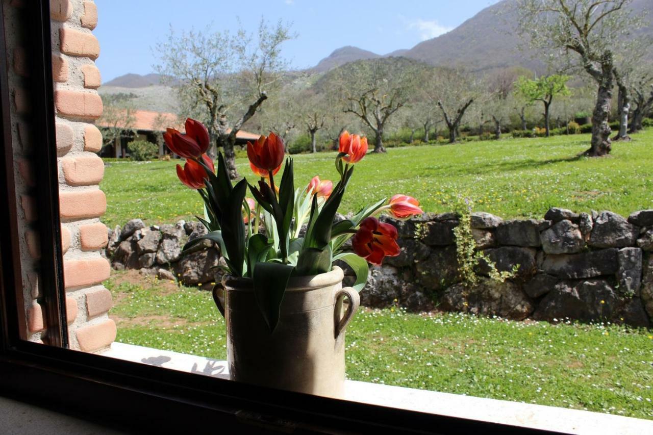 Agriturismo Il Castagneto Padula Exteriér fotografie