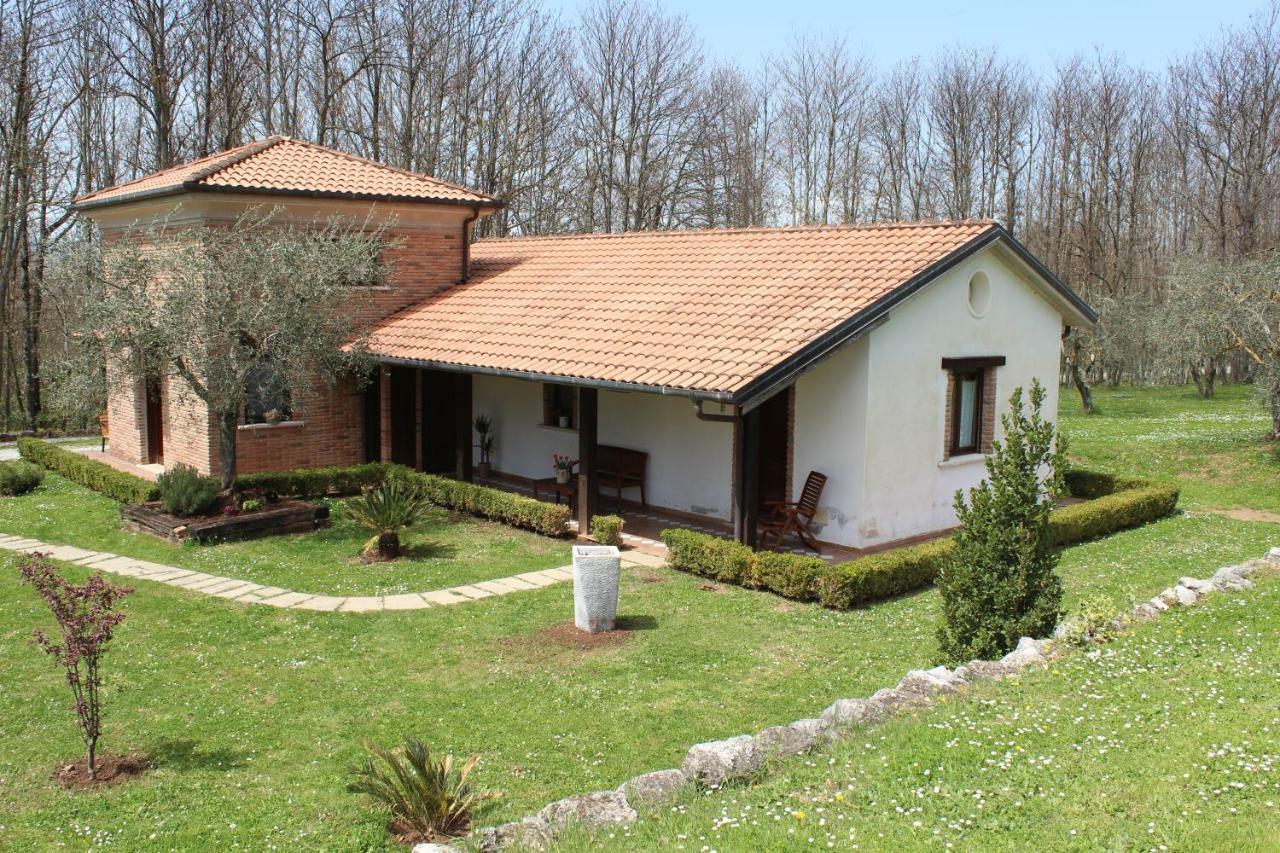 Agriturismo Il Castagneto Padula Exteriér fotografie
