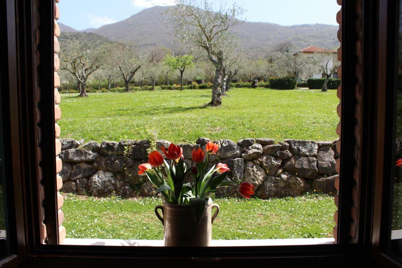 Agriturismo Il Castagneto Padula Exteriér fotografie